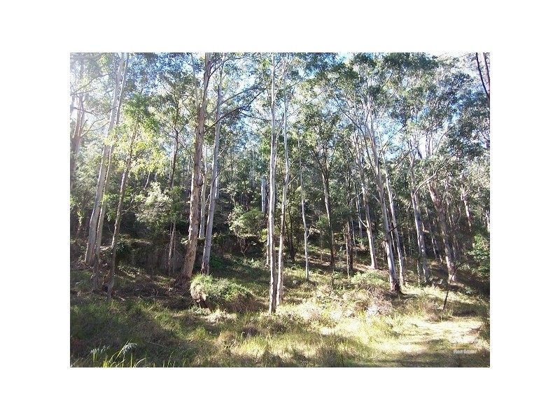 45 Stapleton Road, Wollombi NSW 2325