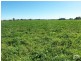 76 Louth Park Road, South Maitland NSW 2320
