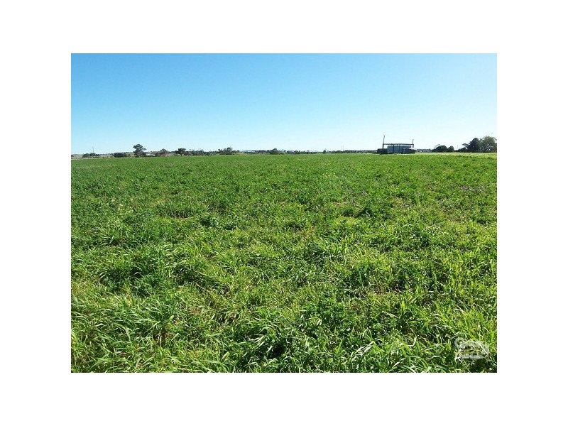 76 Louth Park Road, South Maitland NSW 2320