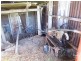 76 Louth Park Road, South Maitland NSW 2320