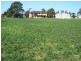 76 Louth Park Road, South Maitland NSW 2320