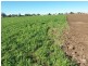 76 Louth Park Road, South Maitland NSW 2320