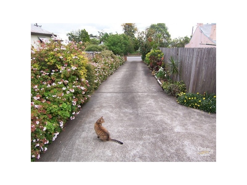 1/146A High Street, East Maitland NSW 2323