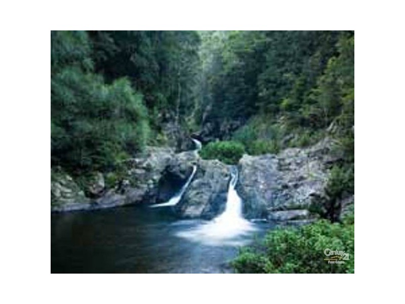 384 Jems Creek Road Cobark, Barrington Tops NSW 2422