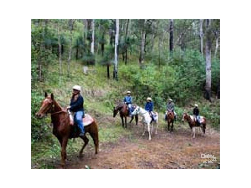 384 Jems Creek Road Cobark, Barrington Tops NSW 2422