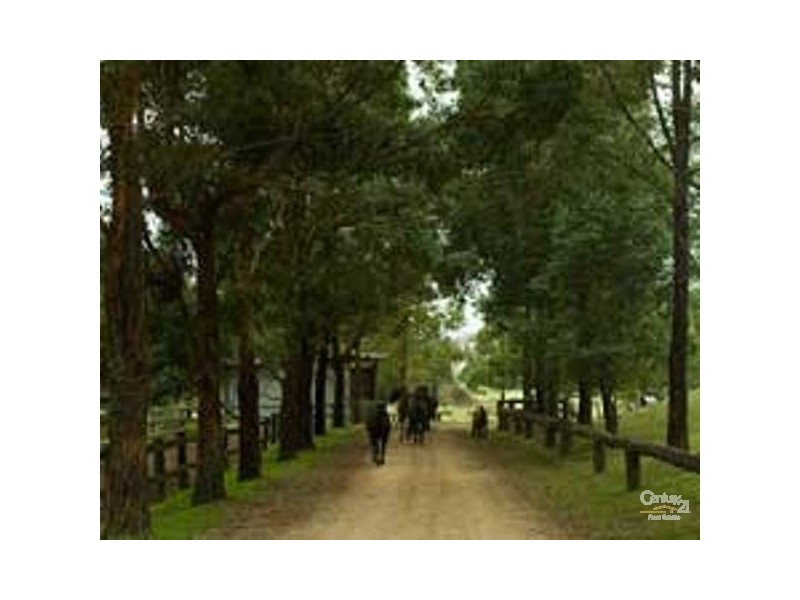 384 Jems Creek Road Cobark, Barrington Tops NSW 2422