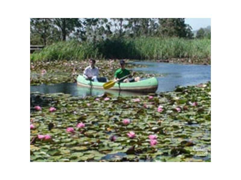 384 Jems Creek Road Cobark, Barrington Tops NSW 2422