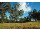. The Linkage Estate, Ashtonfield NSW 2323