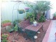 4 Somerset Drive, Thornton NSW 2322