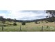 15 Greenwattle Creek Road, Butterwick NSW 2321