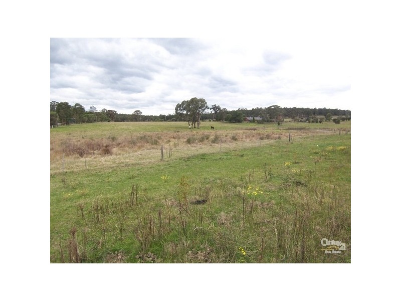 814 Buchanan Road, Buchanan NSW 2323