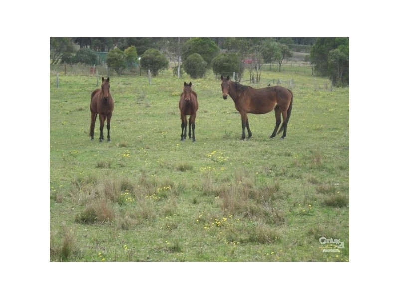 814 Buchanan Road, Buchanan NSW 2323