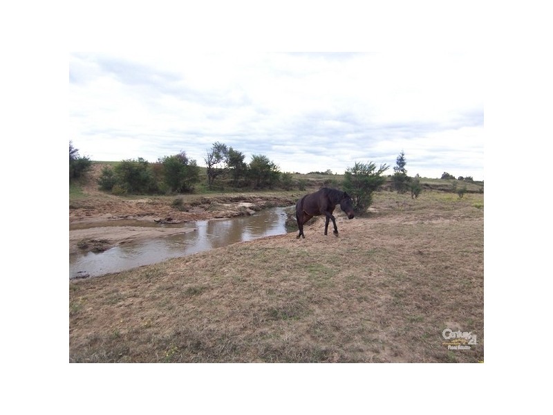 814 Buchanan Road, Buchanan NSW 2323