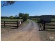 55 Lomas Lane, Lovedale NSW 2325