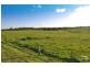 Lot 121 Standen Drive, Branxton NSW 2335