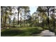 186 Parish Drive, Thornton NSW 2322