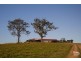 836 Luskintyre Road, Luskintyre NSW 2321