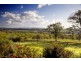 836 Luskintyre Road, Luskintyre NSW 2321