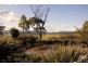 836 Luskintyre Road, Luskintyre NSW 2321