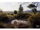 836 Luskintyre Road, Luskintyre NSW 2321