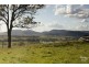 836 Luskintyre Road, Luskintyre NSW 2321