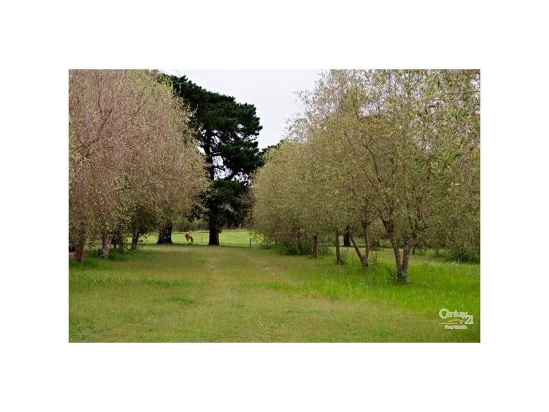 88 Hillsborough Road, Maitland NSW 2320