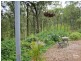 29 Grandview Close, Clarence Town NSW 2321