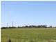 Louth Park NSW 2320