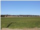 Louth Park NSW 2320