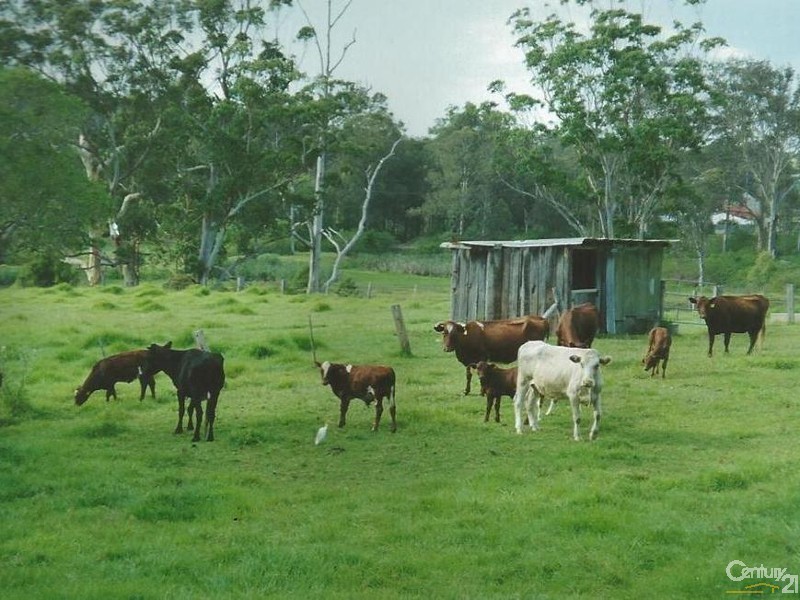 11 Lenaghans Drive, Minmi NSW 2287