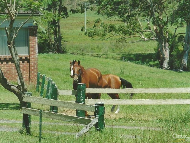 11 Lenaghans Drive, Minmi NSW 2287