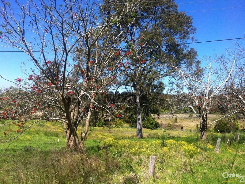 11 Lenaghans Drive, Minmi NSW 2287