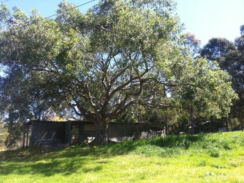 11 Lenaghans Drive, Minmi NSW 2287