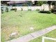249 Paterson Road, Bolwarra Heights NSW 2320
