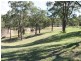Clarence Town NSW 2321