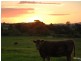 13 Aberglasslyn Lane, Aberglasslyn NSW 2320