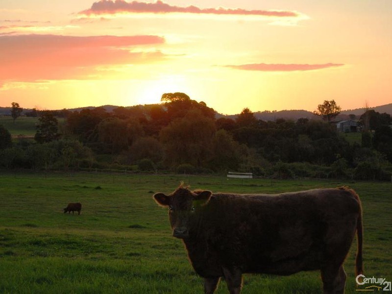13 Aberglasslyn Lane, Aberglasslyn NSW 2320