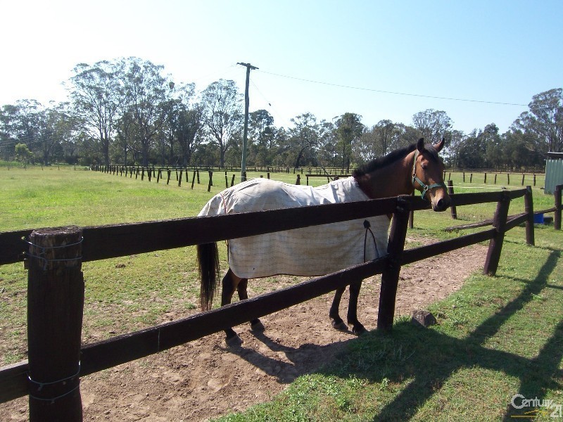 55 Lomas Lane, Lovedale NSW 2325