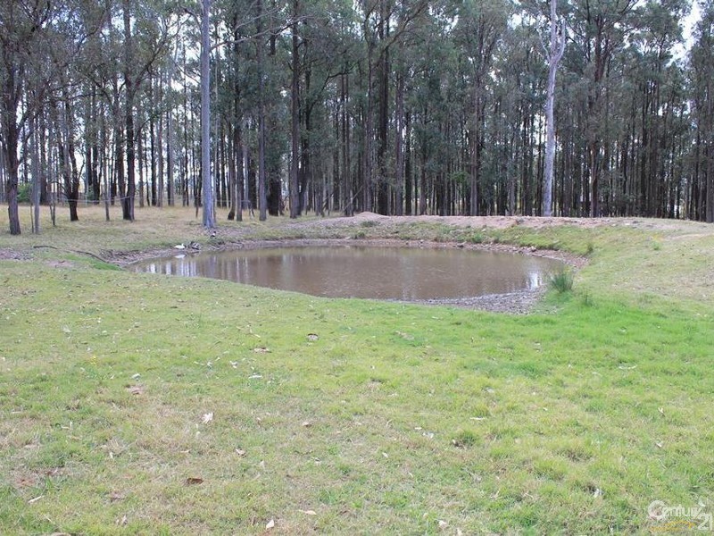 136 Horns Crossing Road, Paterson NSW 2421