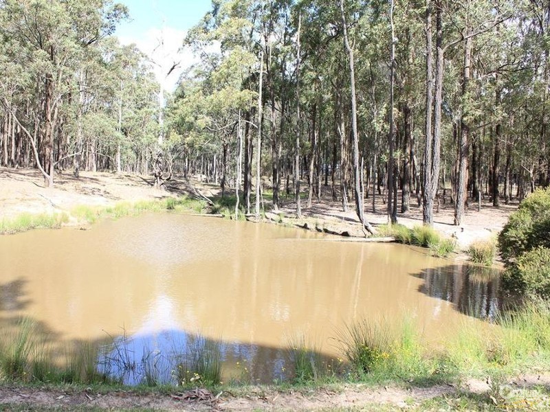 136 Horns Crossing Road, Paterson NSW 2421