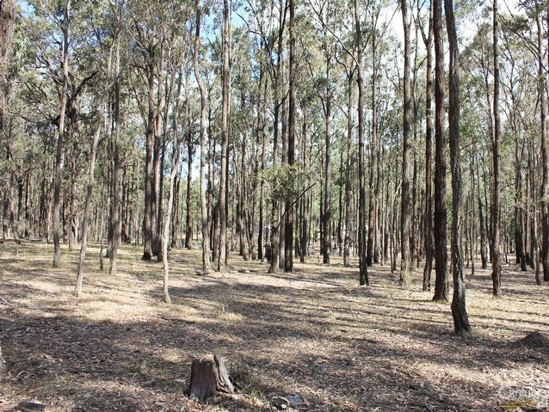 136 Horns Crossing Road, Paterson NSW 2421