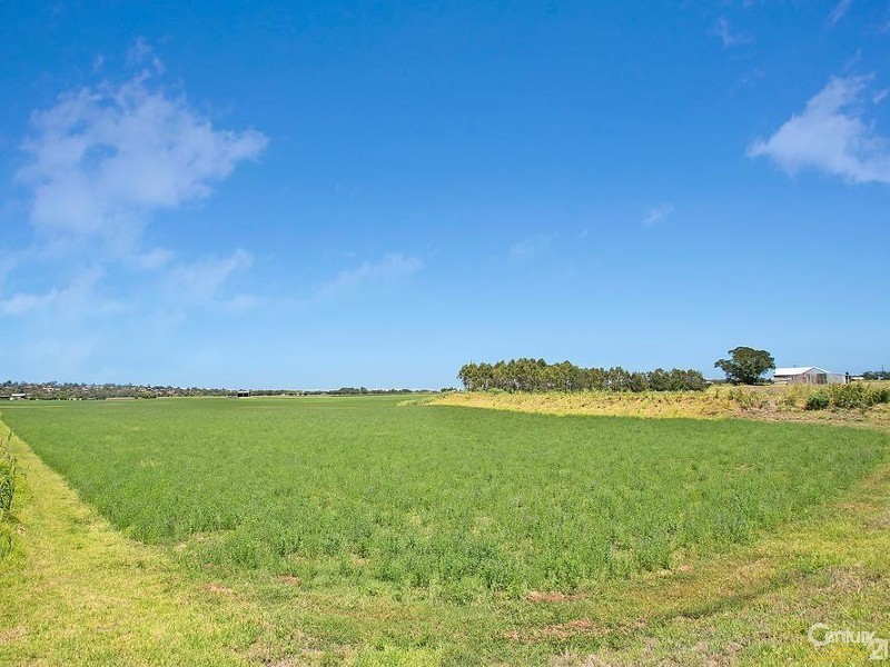 Maitland NSW 2320