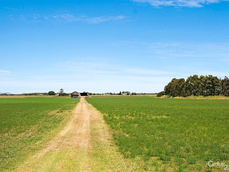 Maitland NSW 2320