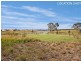 1/10A Dove Street, Aberglasslyn NSW 2320