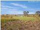 2/10A Dove Street, Aberglasslyn NSW 2320