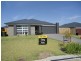 8 Pondhawk, Chisholm NSW 2322