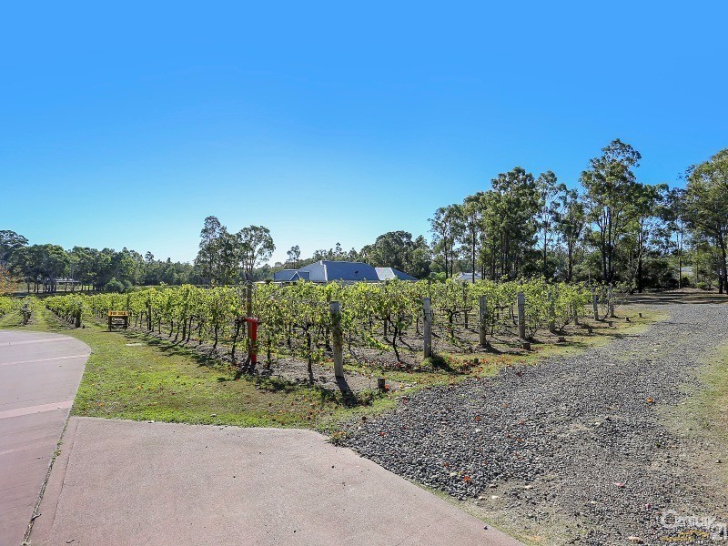Lot 37 Kelman Estate, Pokolbin NSW 2320