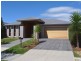 17 Whitetip Street, Chisholm NSW 2322