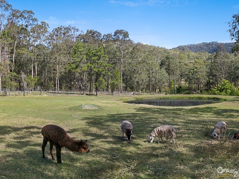 82 Keppies Road, Paterson NSW 2421