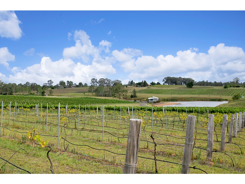 201 Talga Road, Lovedale NSW 2325